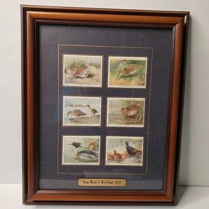Players Cigarette Cards Game Birds & Water Fowl